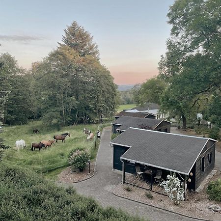 Ludwigslust Vogtland De - Ideal Fuer Naturliebhaber & Fellnasen Mehltheuer Exterior foto