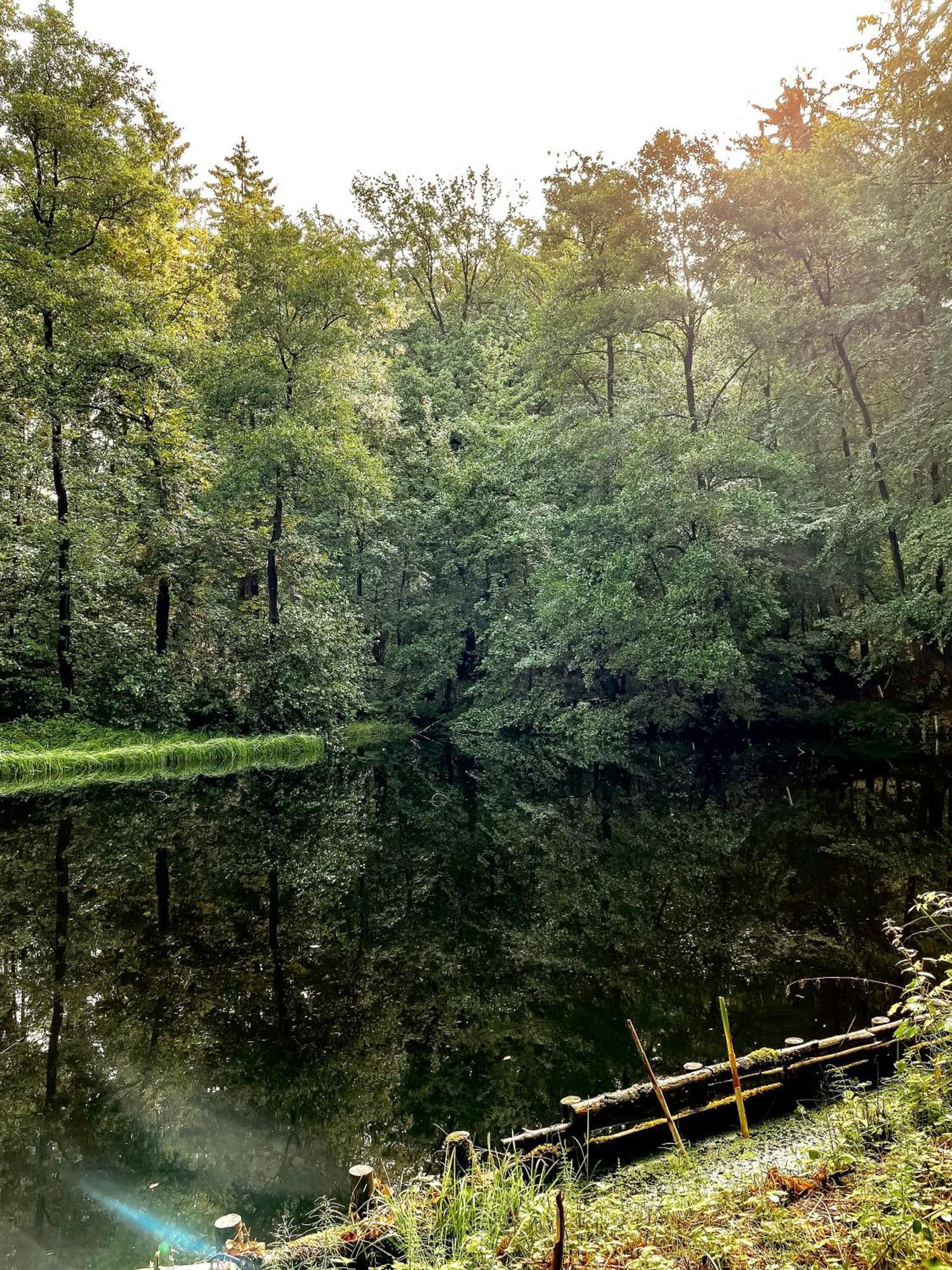 Ludwigslust Vogtland De - Ideal Fuer Naturliebhaber & Fellnasen Mehltheuer Exterior foto