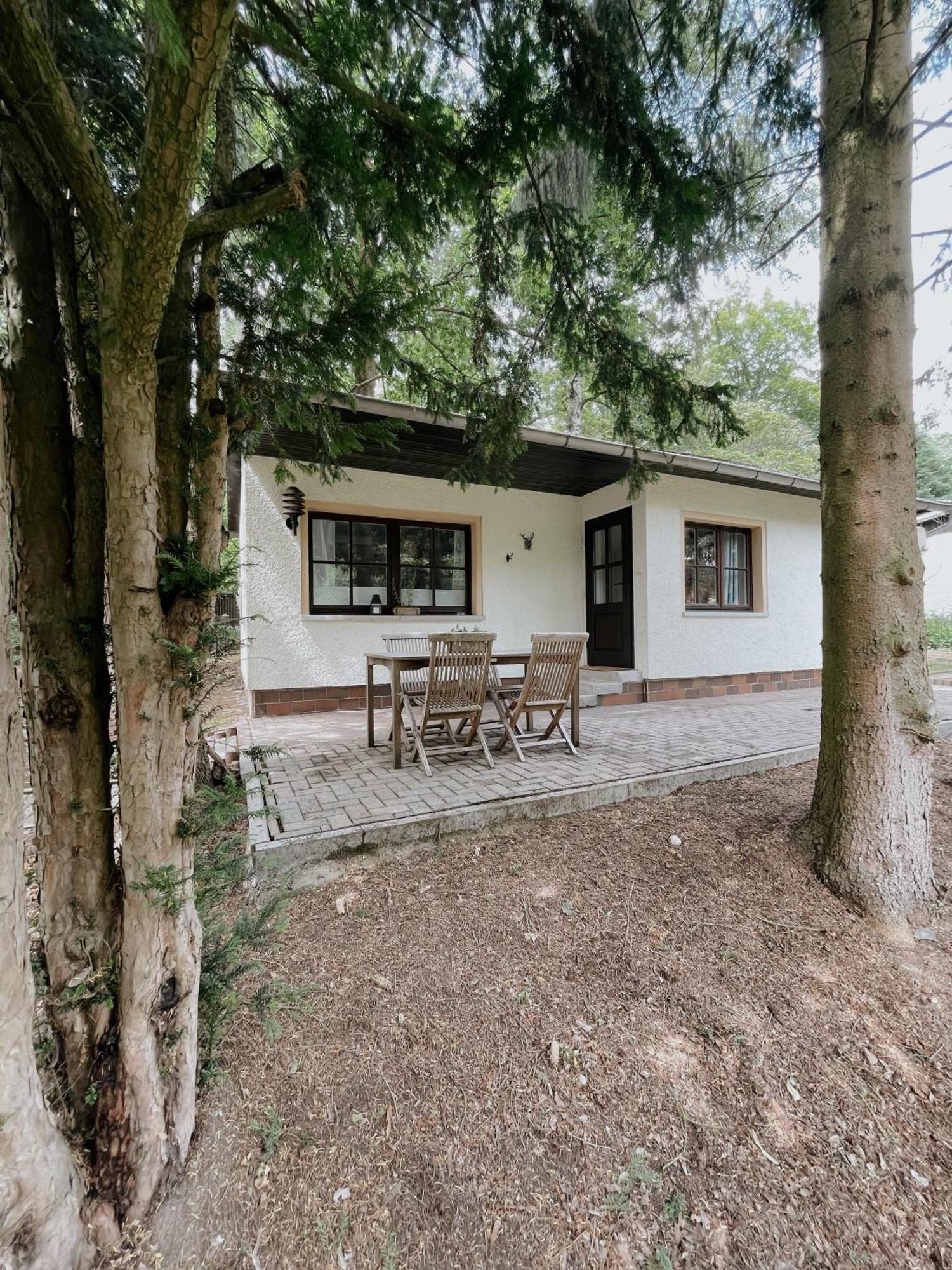 Ludwigslust Vogtland De - Ideal Fuer Naturliebhaber & Fellnasen Mehltheuer Zimmer foto