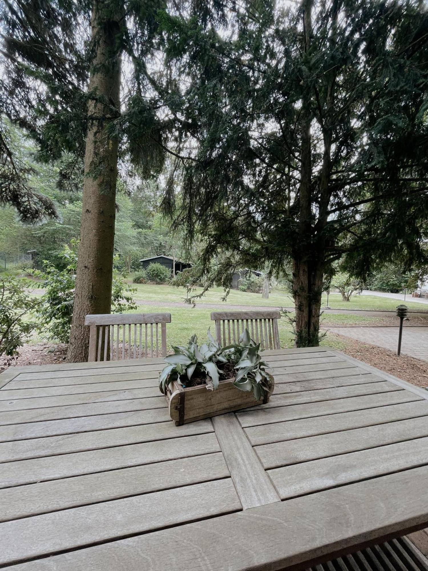 Ludwigslust Vogtland De - Ideal Fuer Naturliebhaber & Fellnasen Mehltheuer Zimmer foto